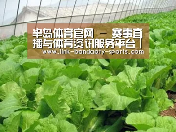 种植基地一