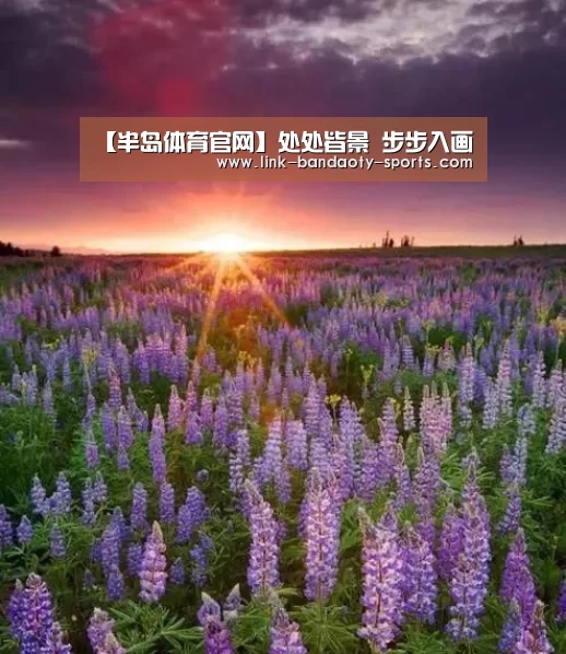 【半岛体育官网】处处皆景 步步入画(图1) 半岛体育