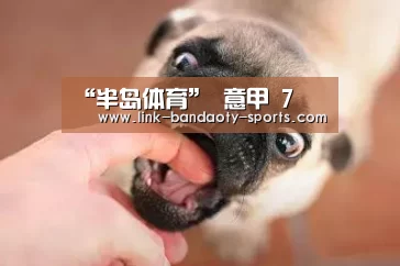 “半岛体育”
意甲 7(图3) 半岛体育