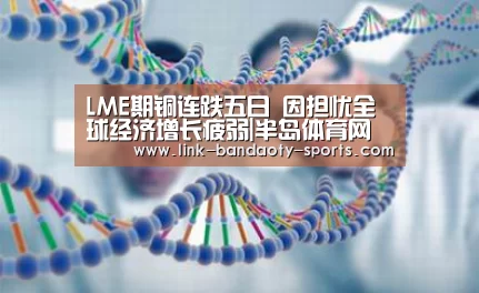 半岛体育下载