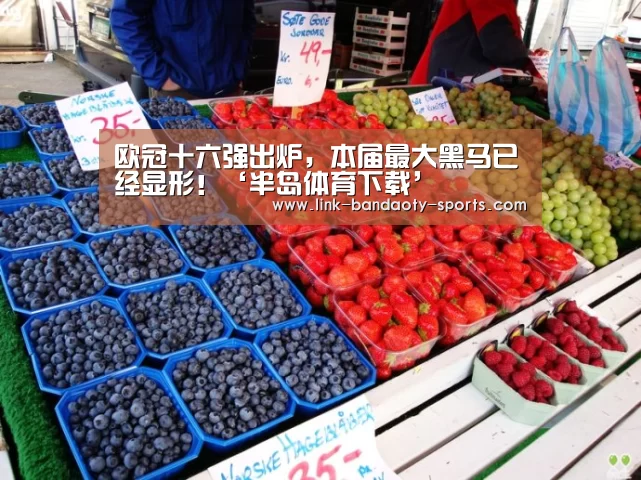 欧冠十六强出炉,本届最大黑马已经显形!‘半岛体育下载’(图4) 半岛体育官网