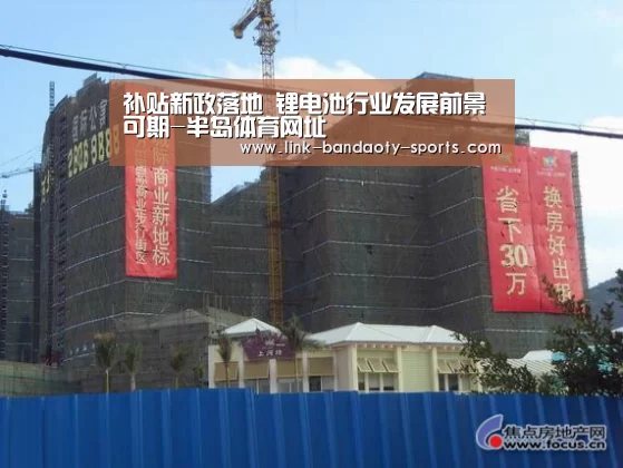 补贴新政落地 锂电池行业发展前景可期-半岛体育网址(图4) 半岛体育