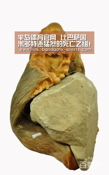 半岛体育网址